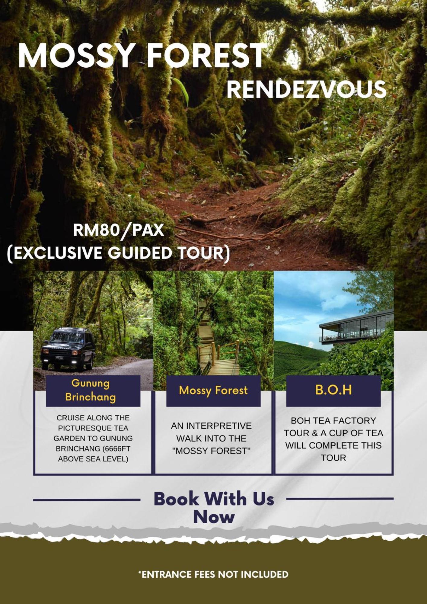 Rovers Inn Guesthouse - Age 11 And Above Only (Adults Only) Танах-Рата Экстерьер фото